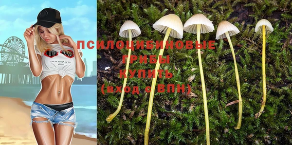мдма Богородицк