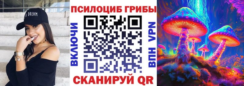 KRAKEN ссылка  Билибино  Галлюциногенные грибы Psilocybe 